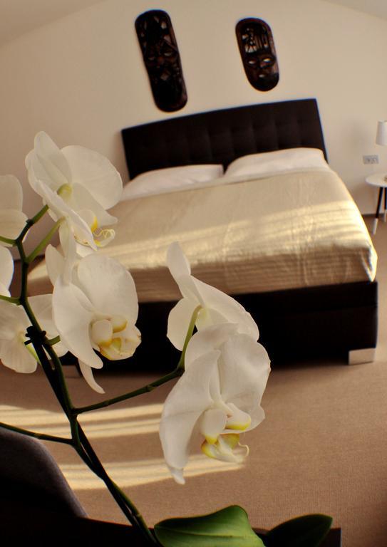 Studia Letcu 2A Apartment Olomouc Luaran gambar